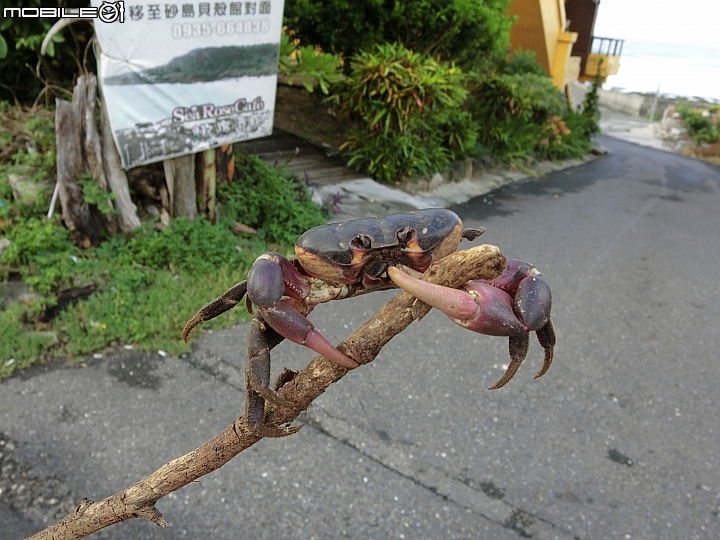 環島go 環島girl 環島狗~一個人的環島!第四天~上集