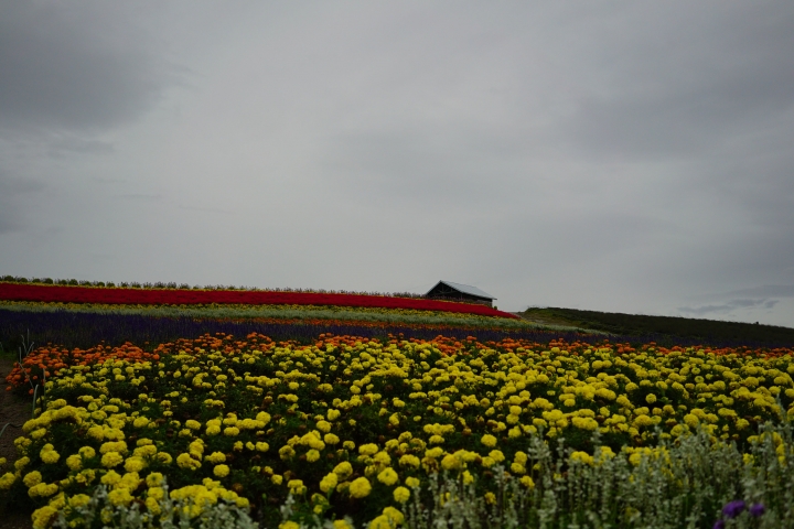 第一次的北海道親子自駕遊 2014 夏末  [文字編輯中 未完成 圖多]
