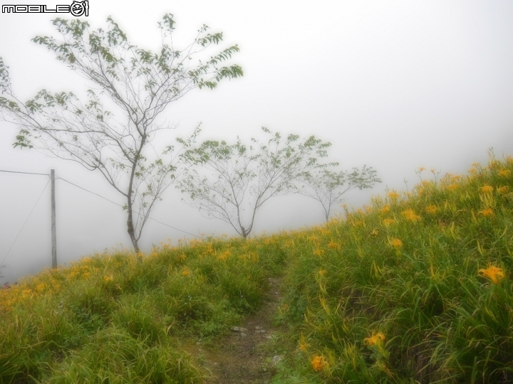 【分享】影片台東之旅真的是很美的地方 可以上山下海 無所不能