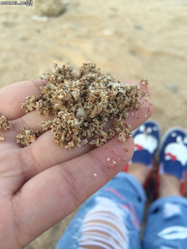 環島go 環島girl 環島狗~一個人的環島!第四天~上集