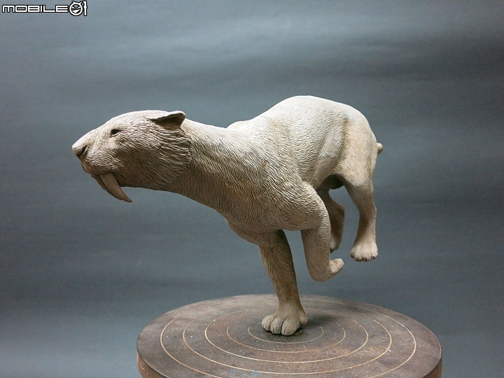 仿真動物原型製作- 毀滅劍齒虎（Smilodon populator）