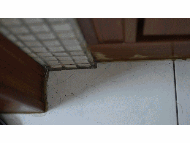 伊萊克斯ULTRAFLEX™吸塵器成就感十足體驗分享