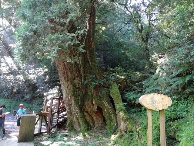 親子旅遊-拉拉山