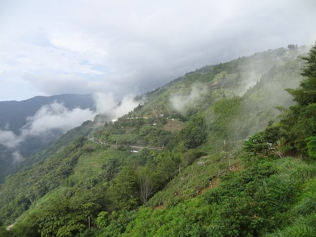 親子旅遊-拉拉山
