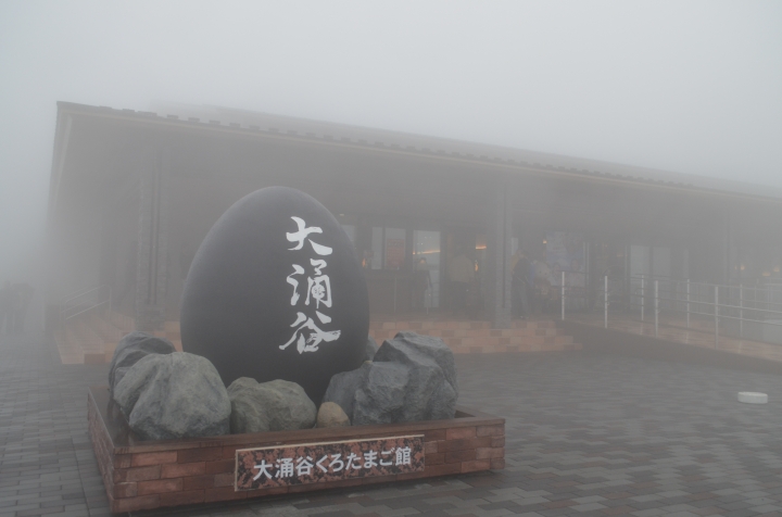 鎌倉、江之電、明治神宮自助行