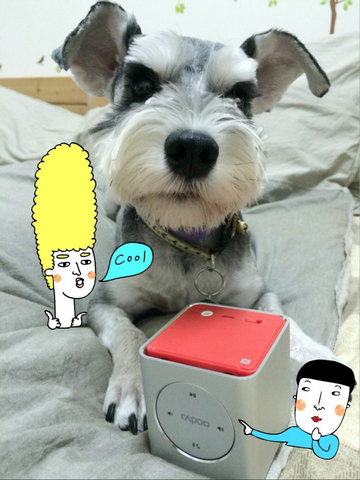 第一次分享就上手，Rapoo藍芽音響