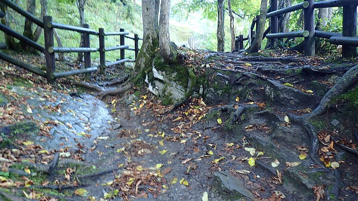 悲情 北海道之旅 完 全日本壓馬路（株）