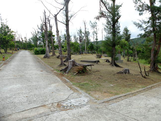 2014 綠島紫坪露營區的改變