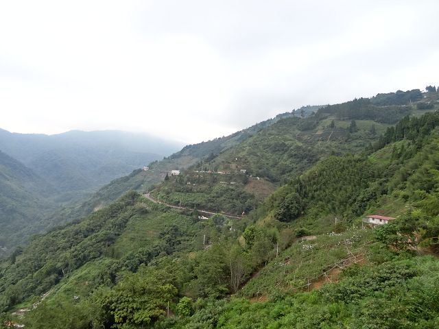 親子旅遊-拉拉山