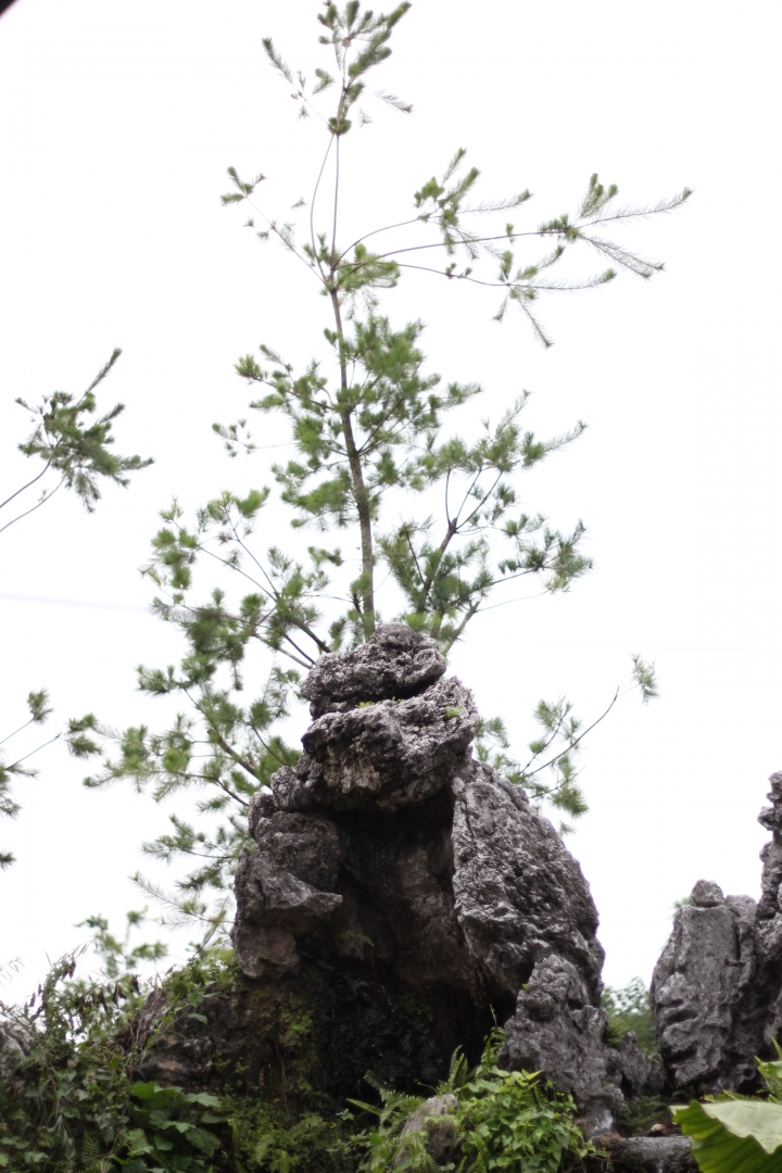 <<不做不會怎樣，做了很不一樣之愛台灣三勇士風雨無阻環島行>>