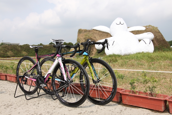 BUFALO SLIPSTREAM in 桃園地景藝術節