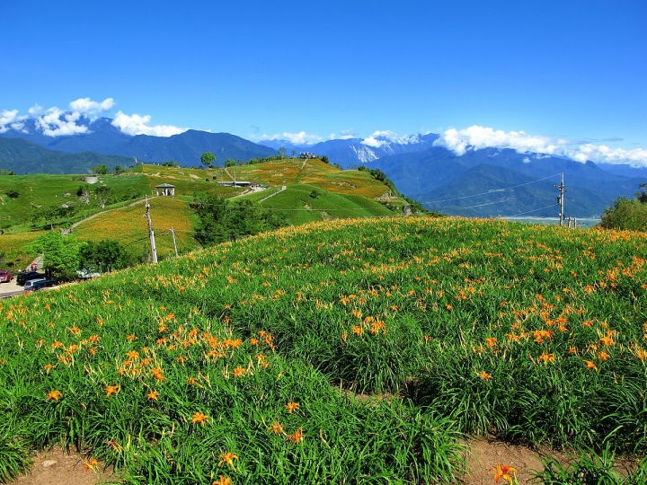 一個人的旅行-花蓮六十石山