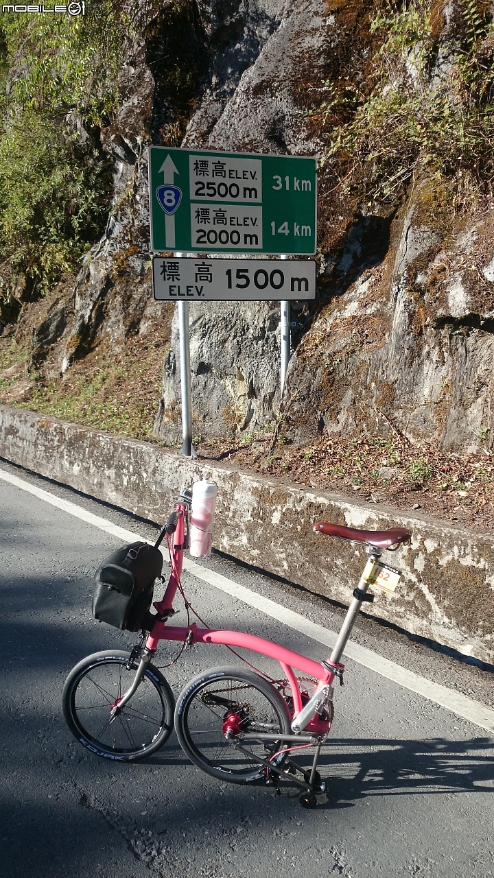 我與兩速小布雙進武嶺之旅