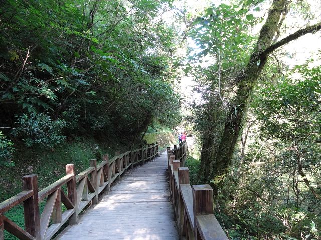 親子旅遊-拉拉山