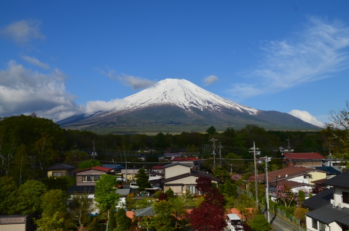 鎌倉、江之電、明治神宮自助行