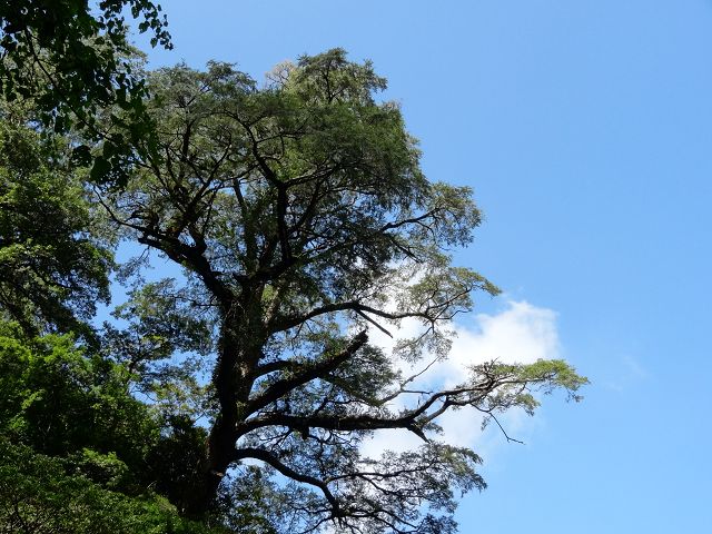 親子旅遊-拉拉山