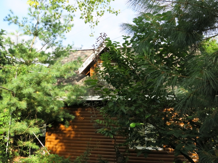 中秋假期到合歡山爬北峰9/6~9/8