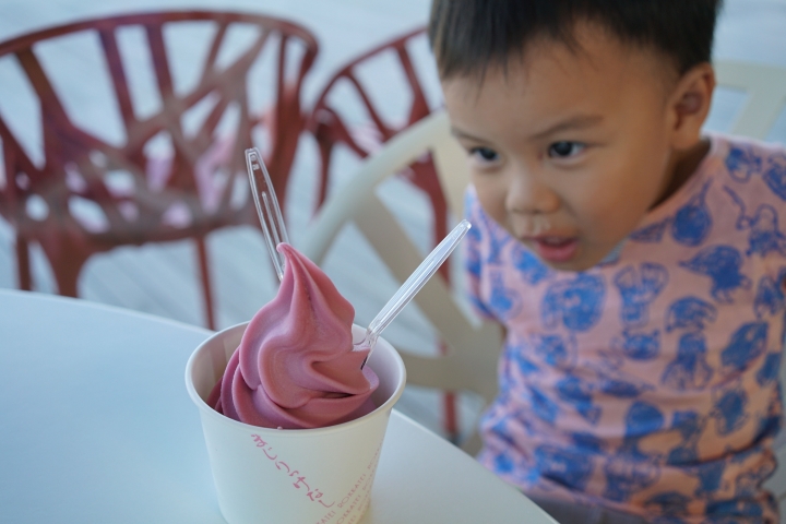 第一次的北海道親子自駕遊 2014 夏末  [文字編輯中 未完成 圖多]