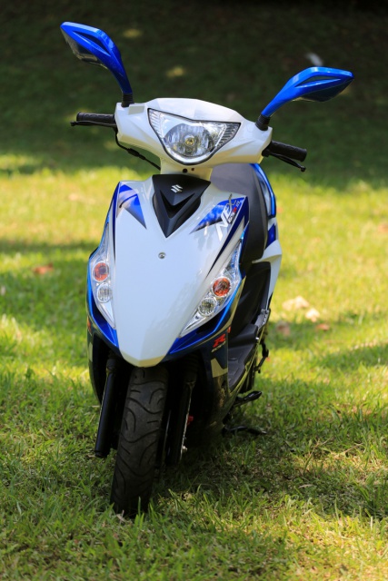 請問  跪求大大能將  最近suzuki  GSX-RR  配色  移植到 NEX身上嗎?