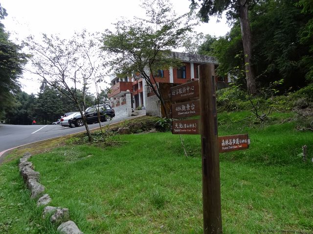 親子旅遊-大雪山森林遊樂區