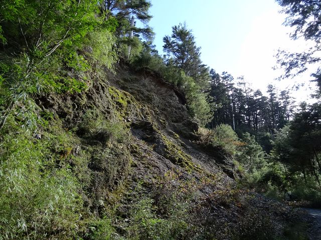 親子旅遊-大雪山森林遊樂區