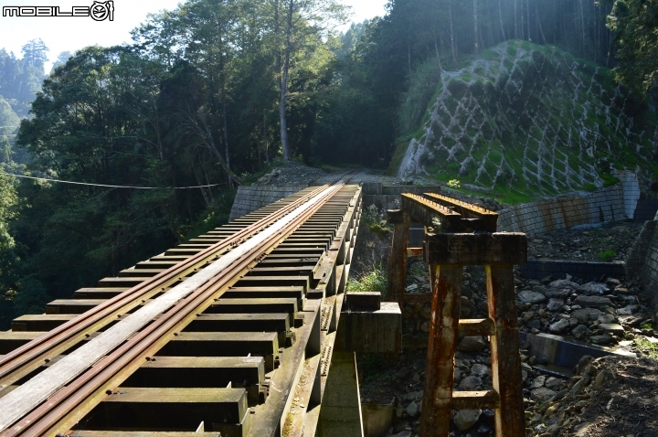 2014-10-07-08塔塔加二萬坪之行