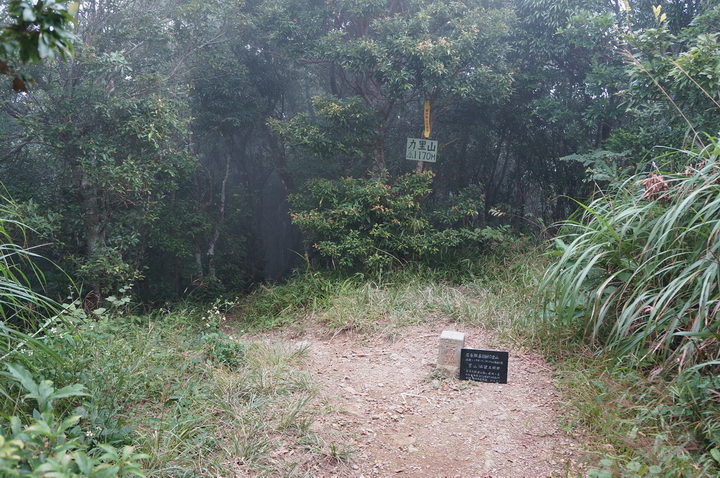 大漢林道行-順登力里山+崁頭窩山+殘念的具馬奴山