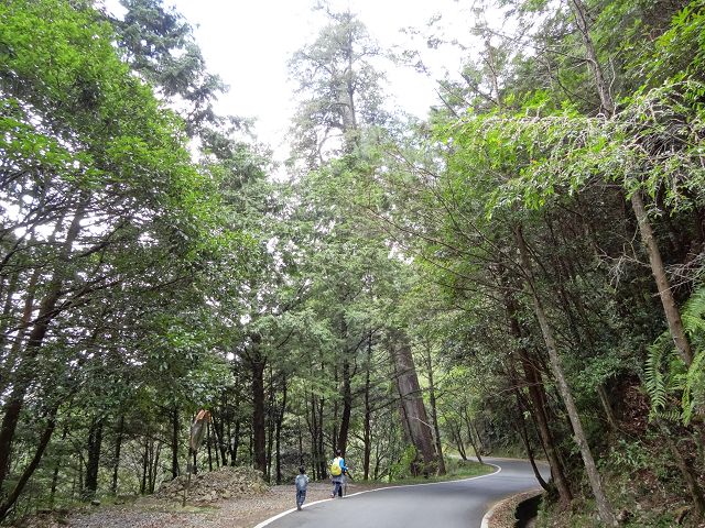 親子旅遊-大雪山森林遊樂區