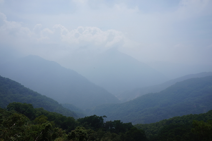 大漢林道行-順登力里山+崁頭窩山+殘念的具馬奴山