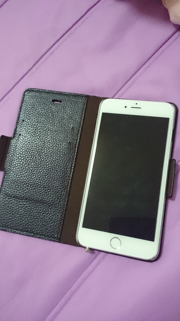 iPhone 6 Plus 真皮皮套 + 鋼化玻璃膜  開箱文