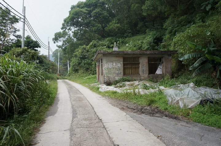 大漢林道行-順登力里山+崁頭窩山+殘念的具馬奴山