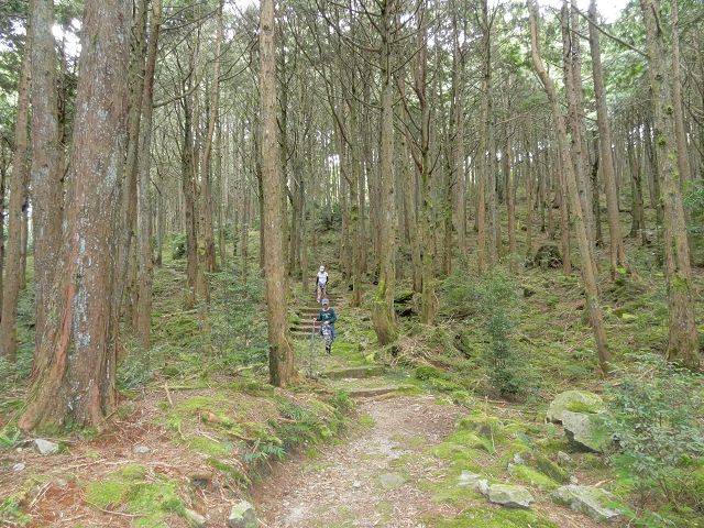 親子旅遊-大雪山森林遊樂區