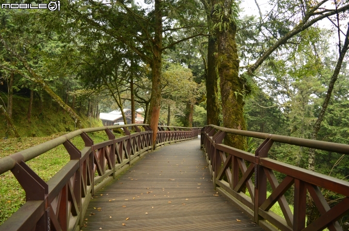 2014-10-07-08塔塔加二萬坪之行