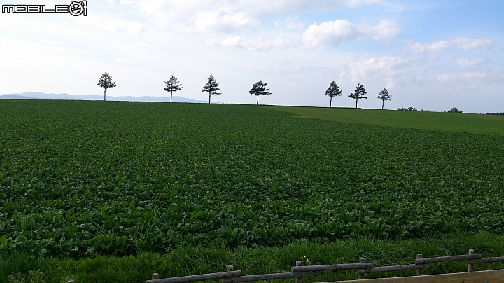 20140913  北海道----- 道東九日單車之旅 Day 3