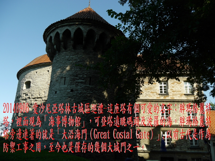 20140906 環波羅的海北歐9國(愛沙尼亞塔林)之旅第12日 - 8 -