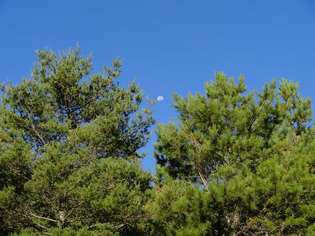 親子旅遊-大雪山森林遊樂區