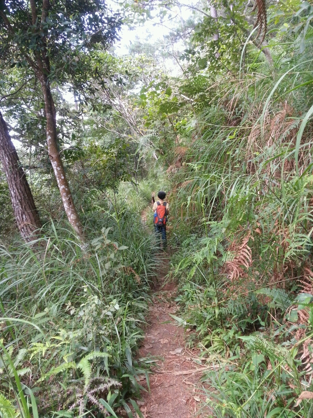 谷關七雄老五……東卯山