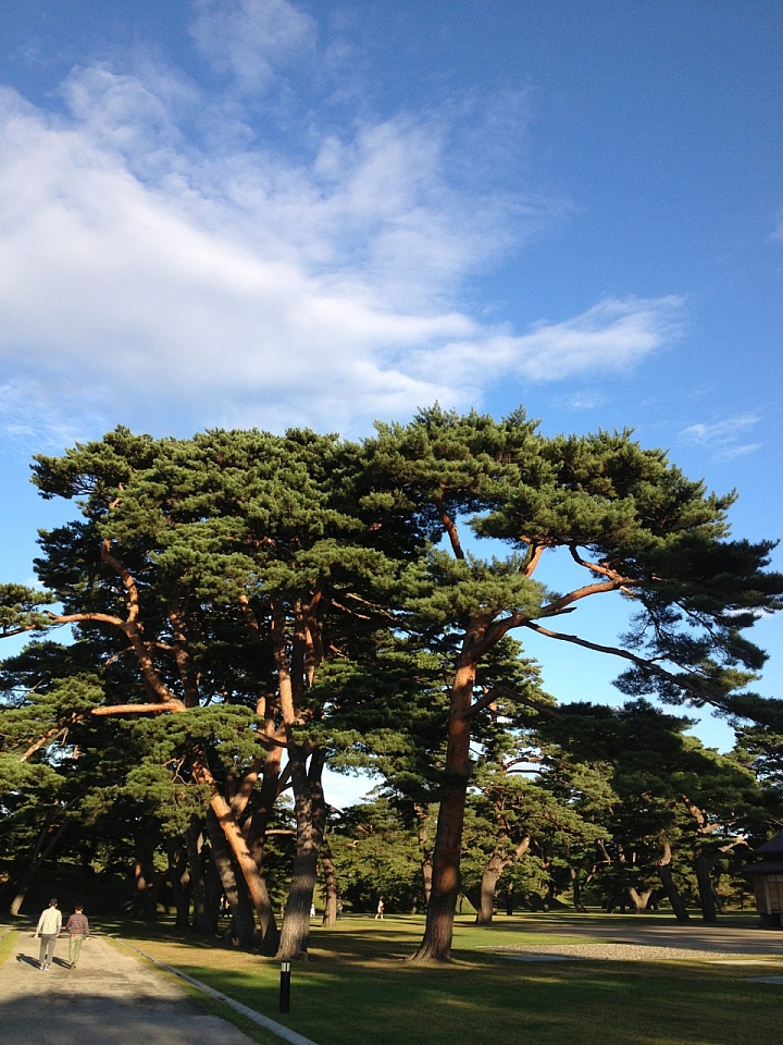 20140913 北海道--------道東九日單車遊     Day 8 及Day 9 札幌、函館 輕鬆漫步自由行