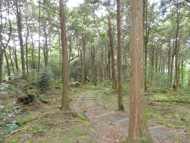 親子旅遊-大雪山森林遊樂區