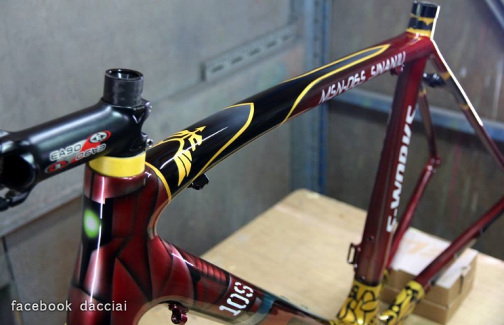 Specialized S-Works Tarmac + 鋼彈新安洲的客製塗裝