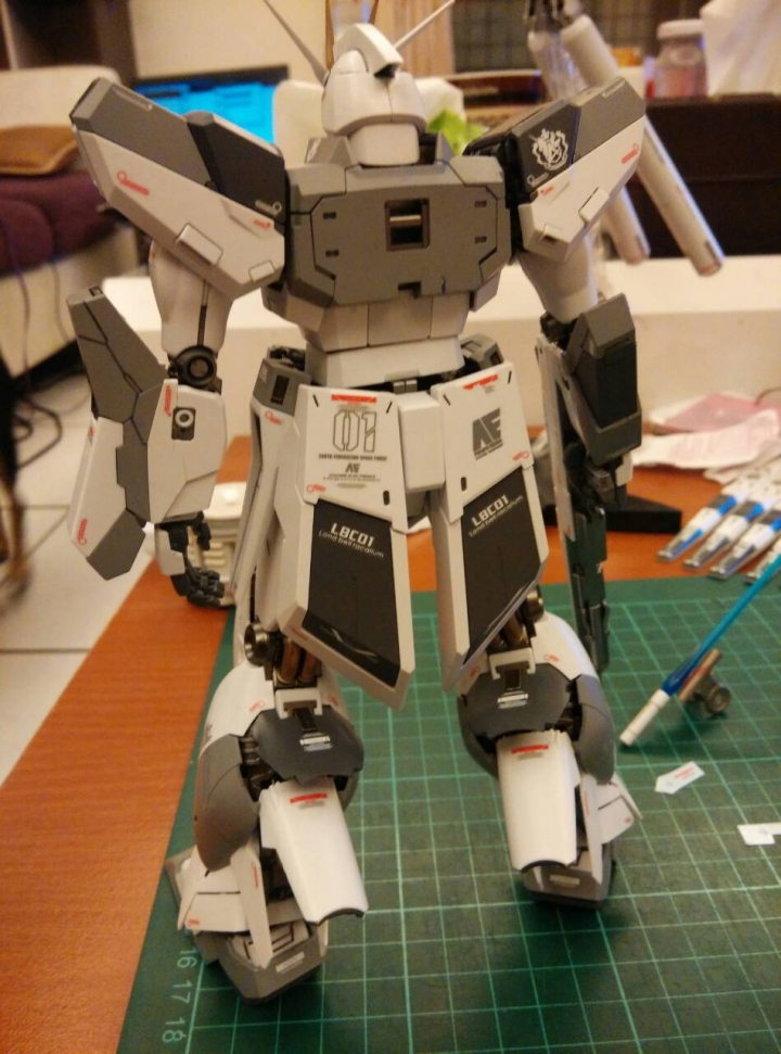 MG 1/100 Hi-v GUNDAM "Ver.Ka" 2號機改色版
