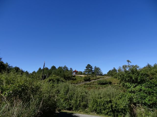 親子旅遊-大雪山森林遊樂區
