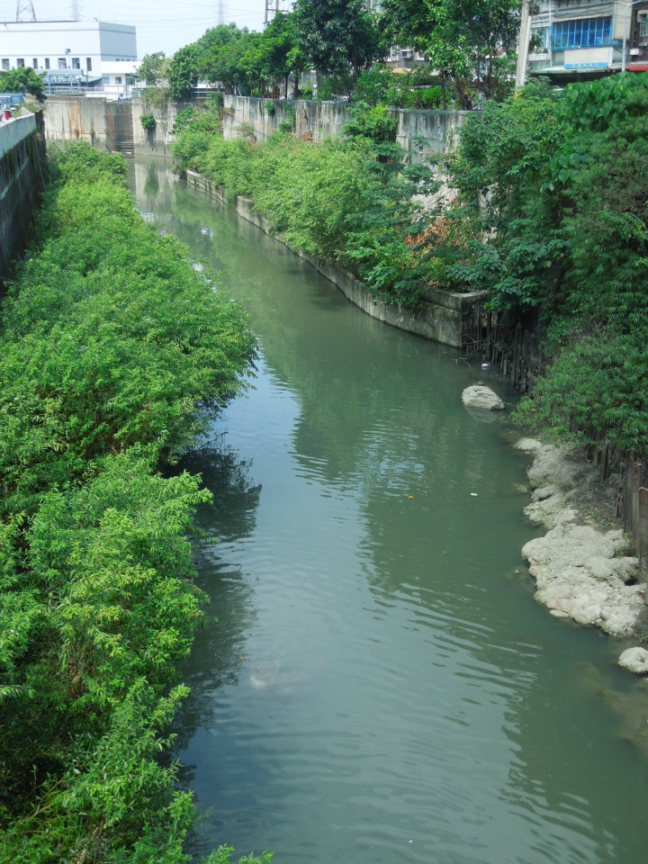都會市區內水岸---瓦磘溝和廟仔尾溝的秋日生態紀實