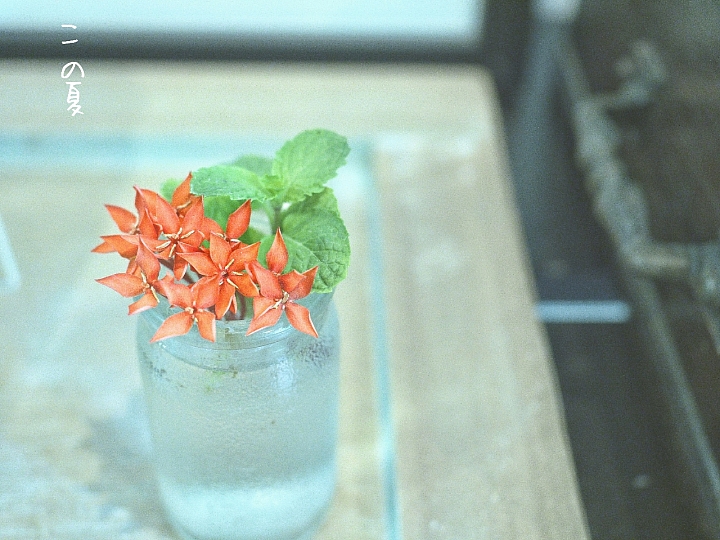 O文青E-M1 の 『小陽●春日子』