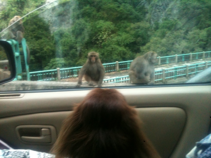RV車床改造 一千公里的旅行（圖多）