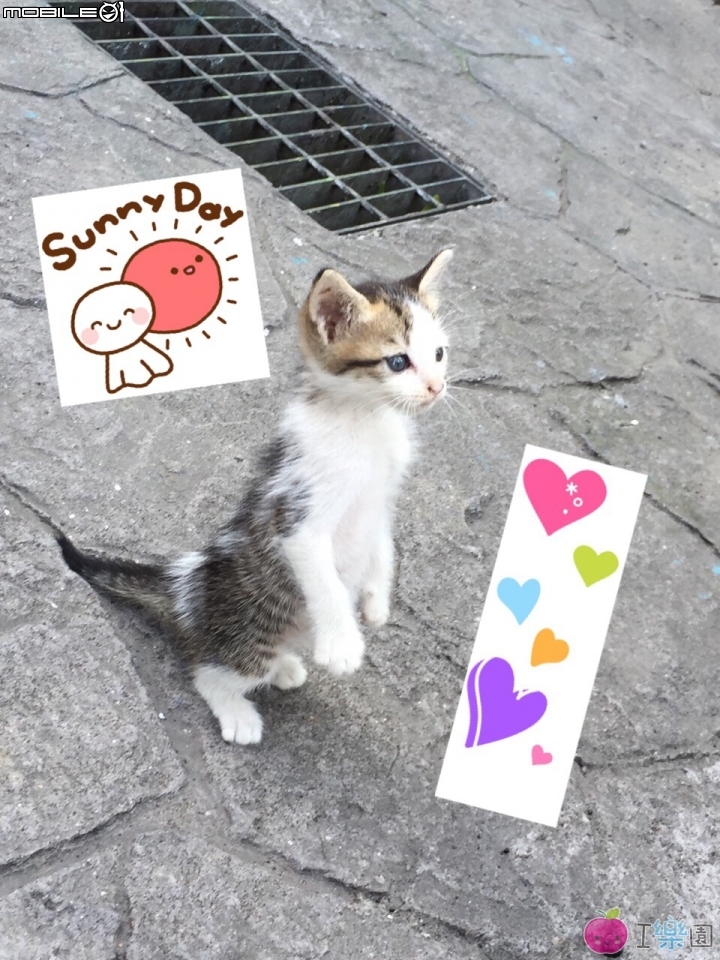 line去背圖檔使用問題