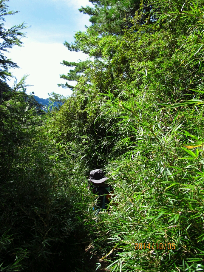 小奇萊……黑水塘山屋……成功山屋