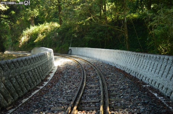 2014-10-07-08塔塔加二萬坪之行