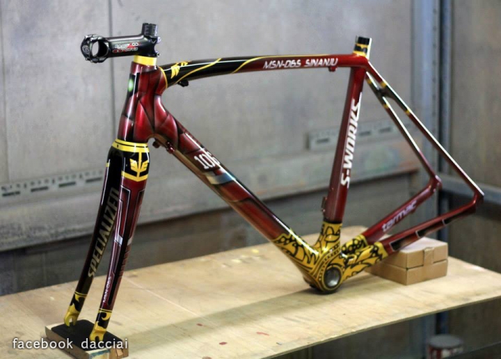 Specialized S-Works Tarmac + 鋼彈新安洲的客製塗裝