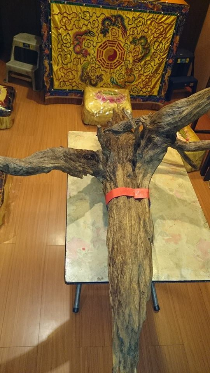 加里曼丹沉香欣賞-圖多